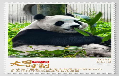 这面旗帜不仅代表着国家的尊严和荣誉更承载着亿万人民的梦想与追求它不仅是一个标志更是一份责任一种使命在