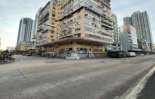 黑龙江饶河惊现野生东北虎踪迹